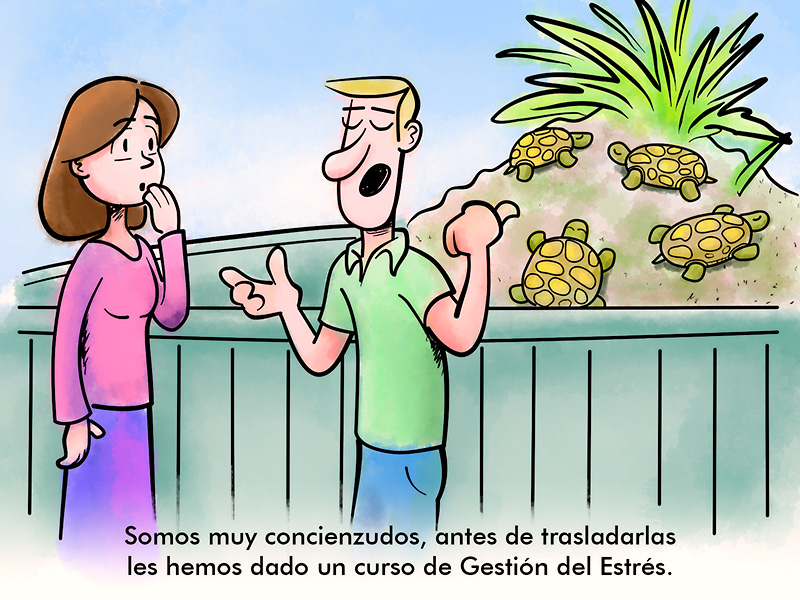 Chiste